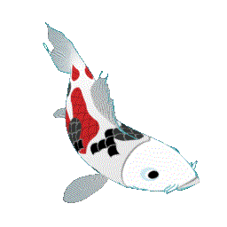 KOI ANIME.gif
