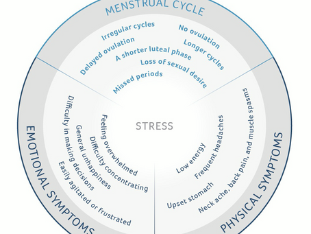 Stress heeft een negatief effect op je menstruatiecyclus, hoe zit dat precies?
