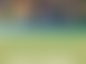 Ending the year with awesome memories & great EXPERIENCES!