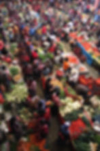 Antigua Global Explorers Worldschool Chichi.JPG