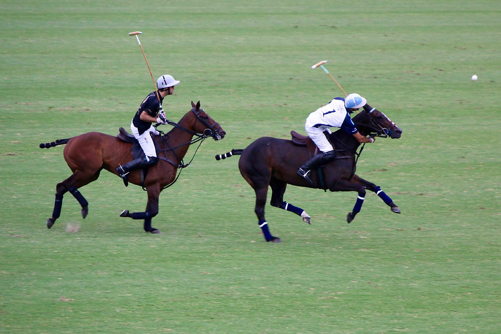 La Tarde Polo Club Play Polo In Argentina La Tarde Polo Club Play Polo In Argentina