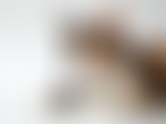 Stylish Calico Cat Jewelry for Cat Lovers