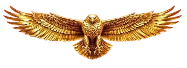 headerImage3.jpg