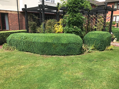 Grounds maitenance Leicester, Ground maintenance, Groundscare Leiceter, Groundcare Leicester, Hedge cutting, garden maintenance leicester, gardeners leicester, commercial grounds maintenance leicester, grounds and garden mainteance,