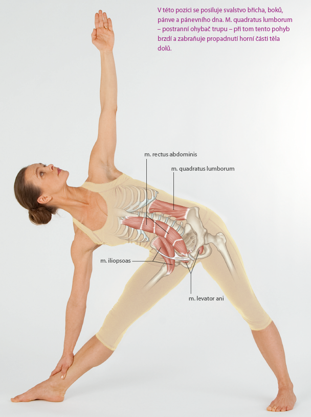 Medical Yoga - detail