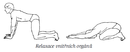 Tradiční čínská medicína v denním životě - detail