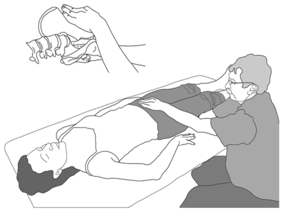 zaklady-kraniosakr-biodyn-2_ v 12.33.50.png