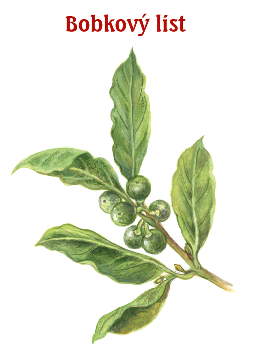 Koření proti choření - detail