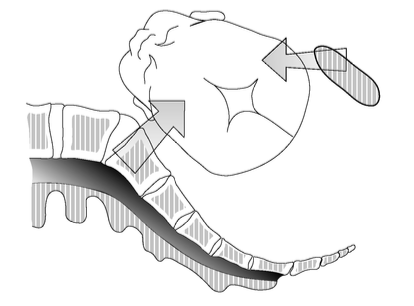 zaklady-kraniosakr-biodyn-2_ v 12.32.41.png