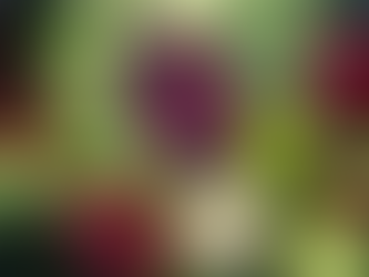 アブラナ科の野菜で血栓を防ぐ