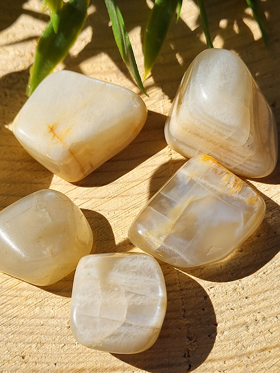 Pierre de Lune beige à l'unité selon le poids