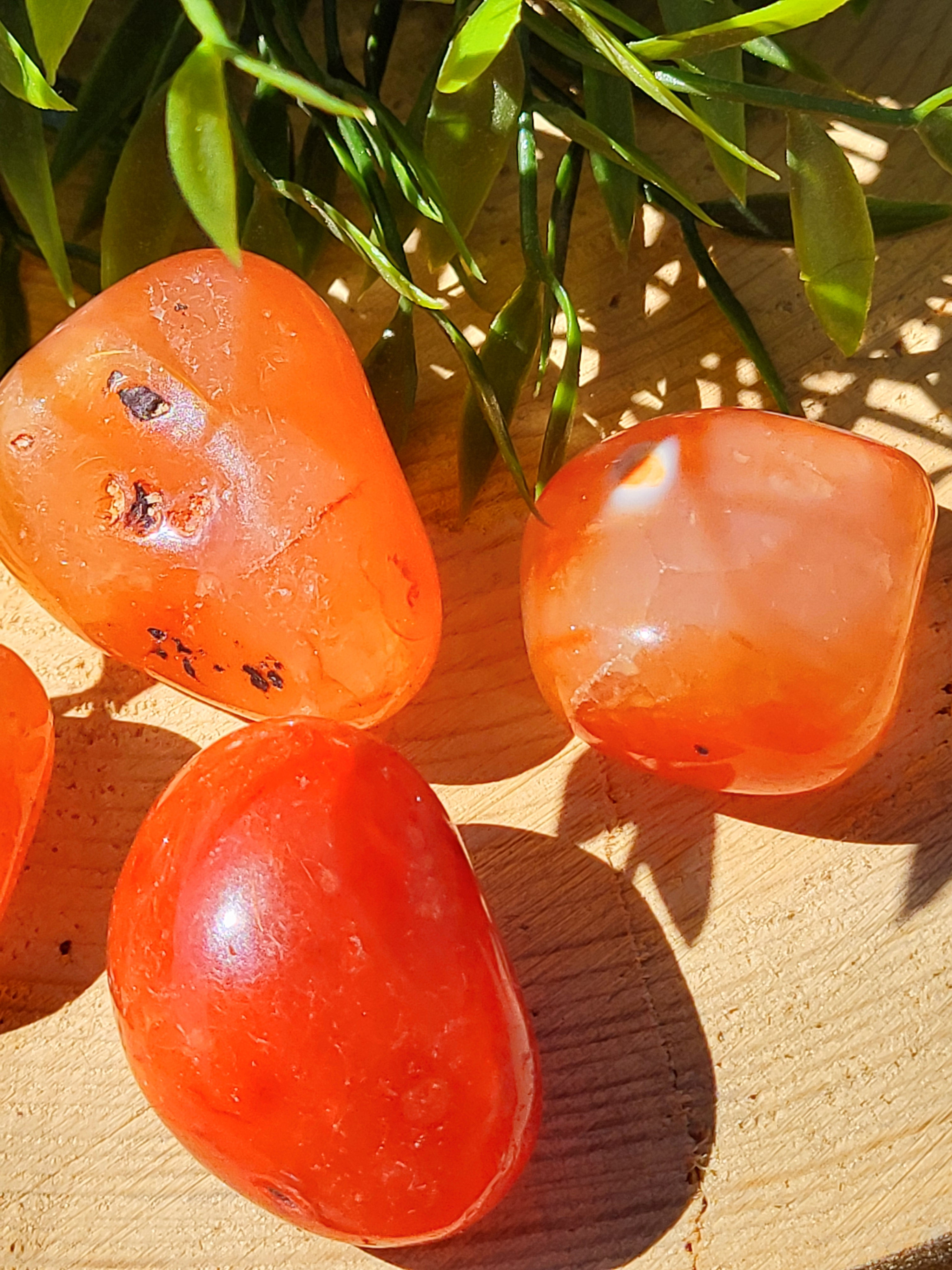 Cornaline, à l'unité, selon le poids