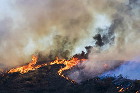 Woolsey Fire.jpeg