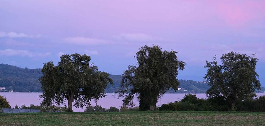 BILDER WEBSITE -3.jpg