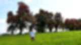 Standbilder CAPCUT Knoll komp .jpg