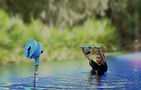 header new1_2w_edited_edited.jpg