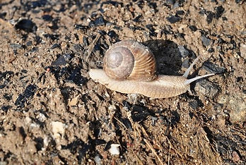 זוג ליד בית טקס טיהור לבית ארץ קסם טקסים