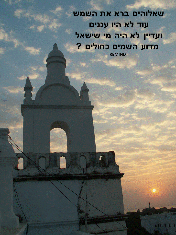 פתגמים ערבה ברגע מעצים