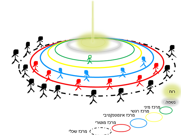 חגורות מרכזים ואניים.png