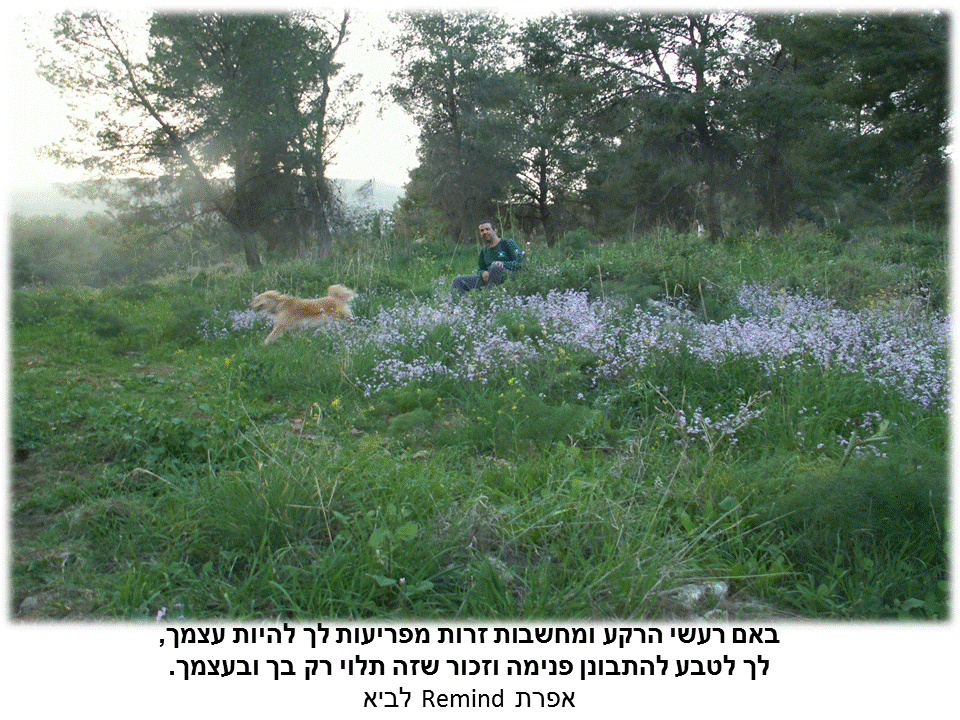 פתגמים ערבה ברגע מעצים