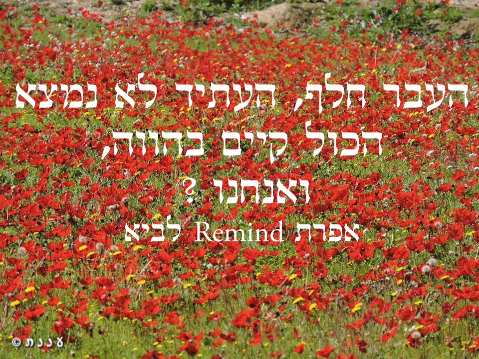 פתגמים ערבה ברגע מעצים