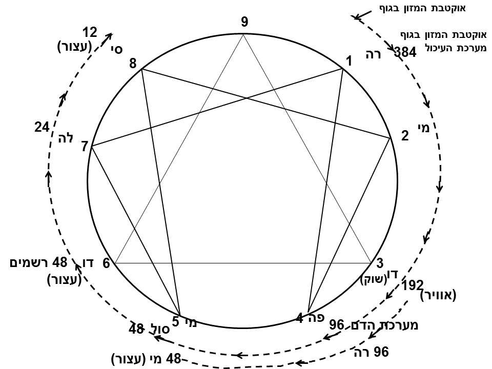 תרשים תשיעון אוקטבת המזון אניאגרם גורדייף