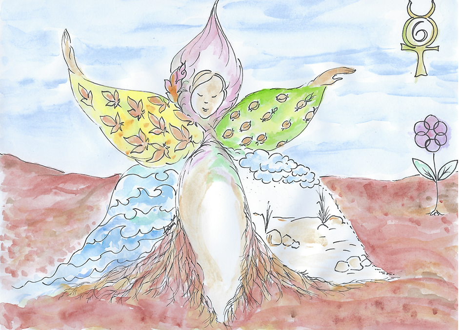 בתולה בית 6 צבעוני מסודר ומאורגן ונקי.pn