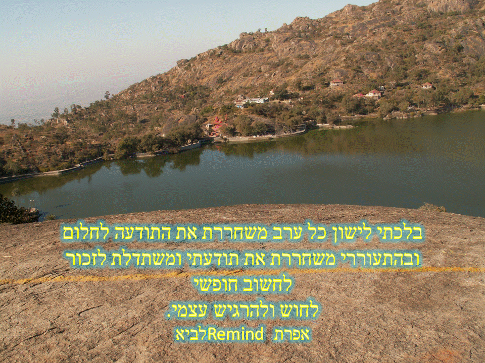 פתגמים ערבה ברגע מעצים