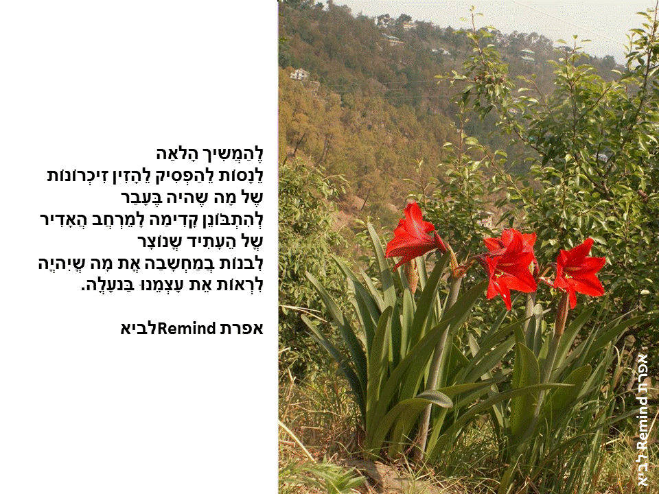 פתגמים ערבה ברגע מעצים