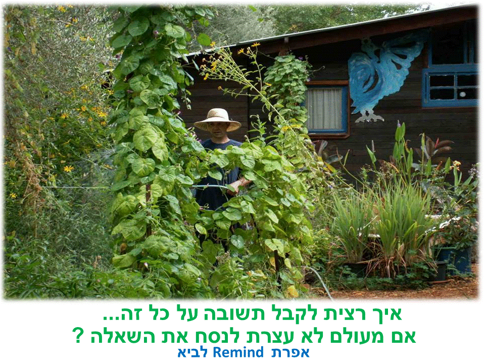 פ תגמים ערבה ברגע מעצים