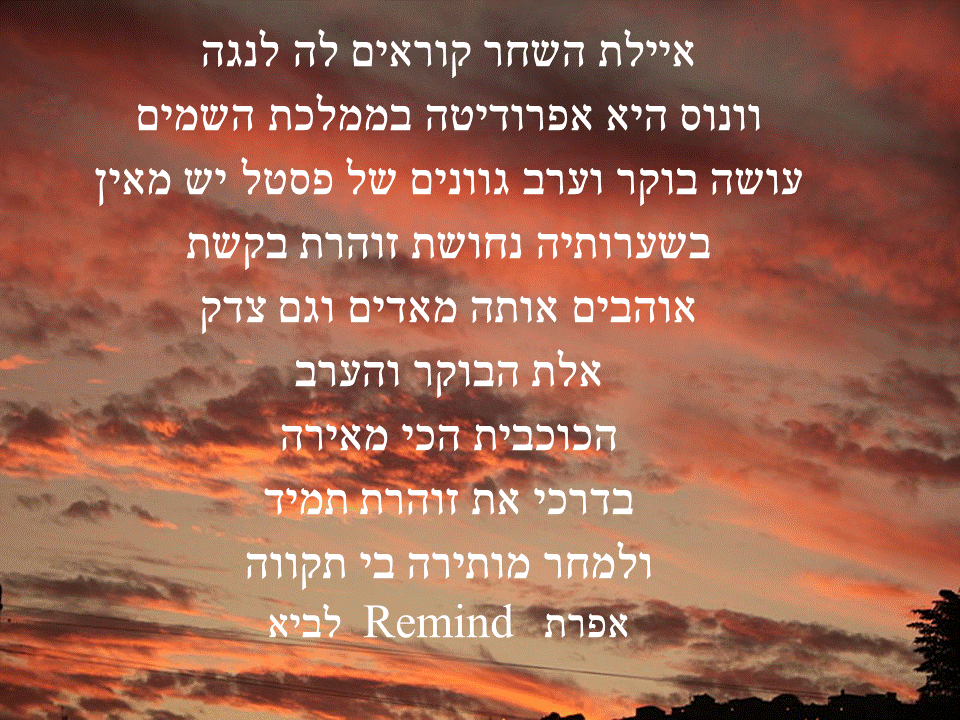 פתגמים ערבה ברגע מעצים