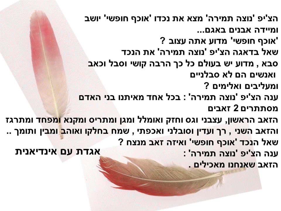 גוש חומר לדמיון ארץ קסם כתובים