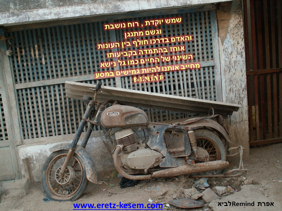 פתגמים ערבה ברגע מעצים