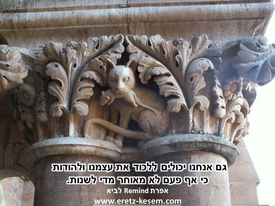 פתגמים ערבה ברגע מעצים