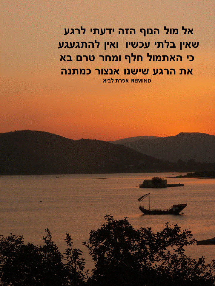 פתגמים ערבה ברגע מעצים