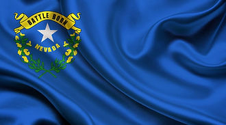 Nevada Apostille Flag Logo