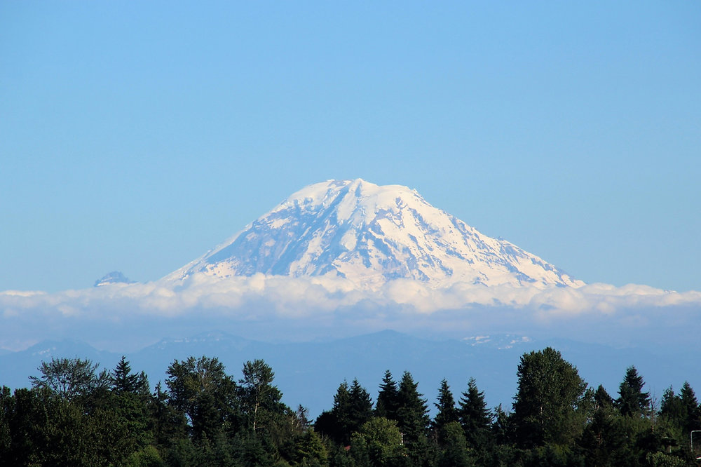 Apostille For Washington Birth Certificate Apostille For Washington Birth Certificate