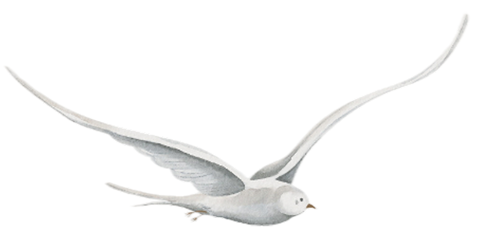 摂食症を自分で治す力を育む