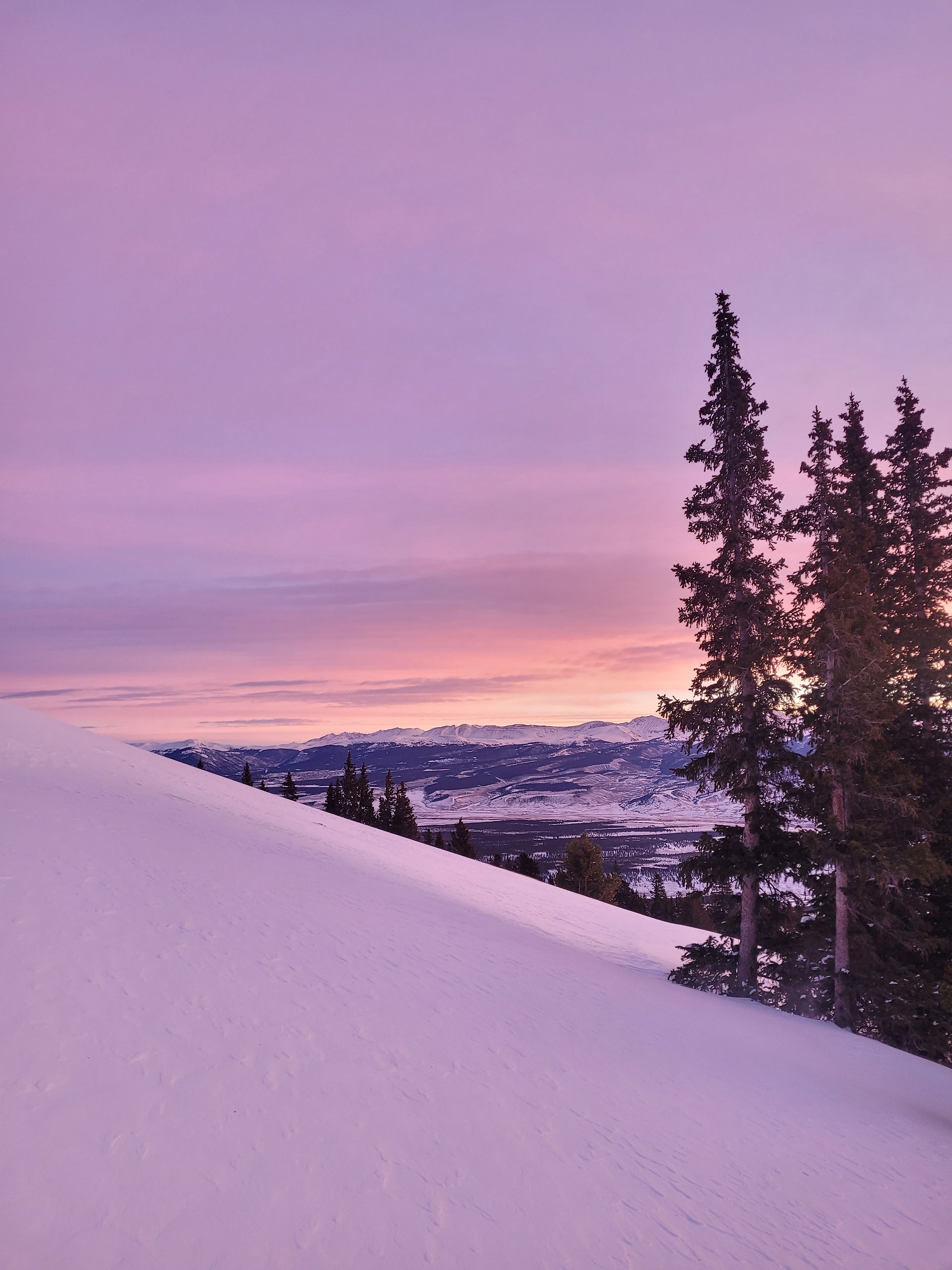 Light pinks and purples of the sunrise.