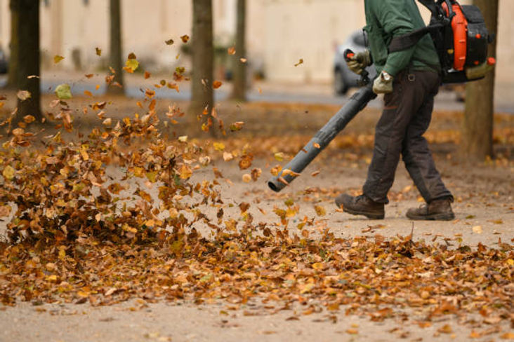 istockphoto-1795743002-612x612.jpg