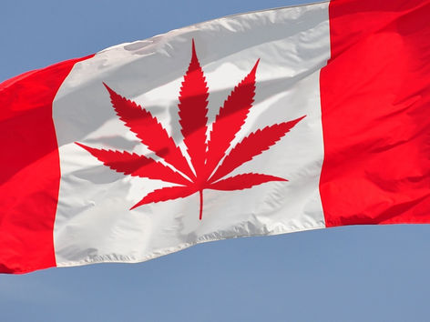 O Cannabis