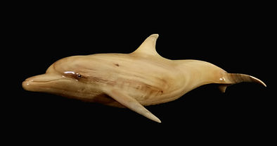 Wooden dolphin sculpture