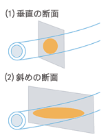 断面