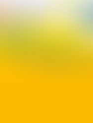 Torna il Cirié Music Festival sabato 30 luglio