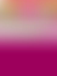 Fiera dell'Annunziata 2023