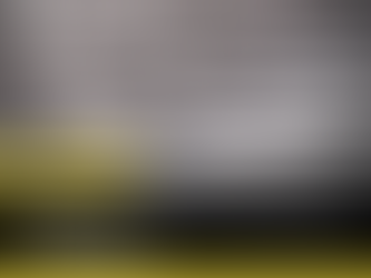 Diemieniet Attorneys