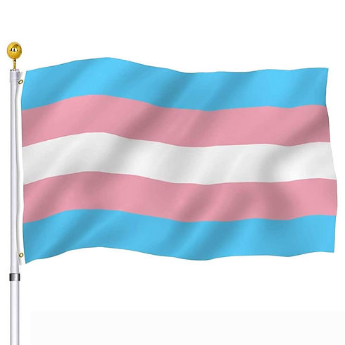 Trans Flag.jpg