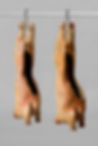 FearAndWonder_46.jpg