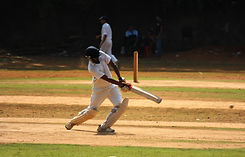 Cricket Strike