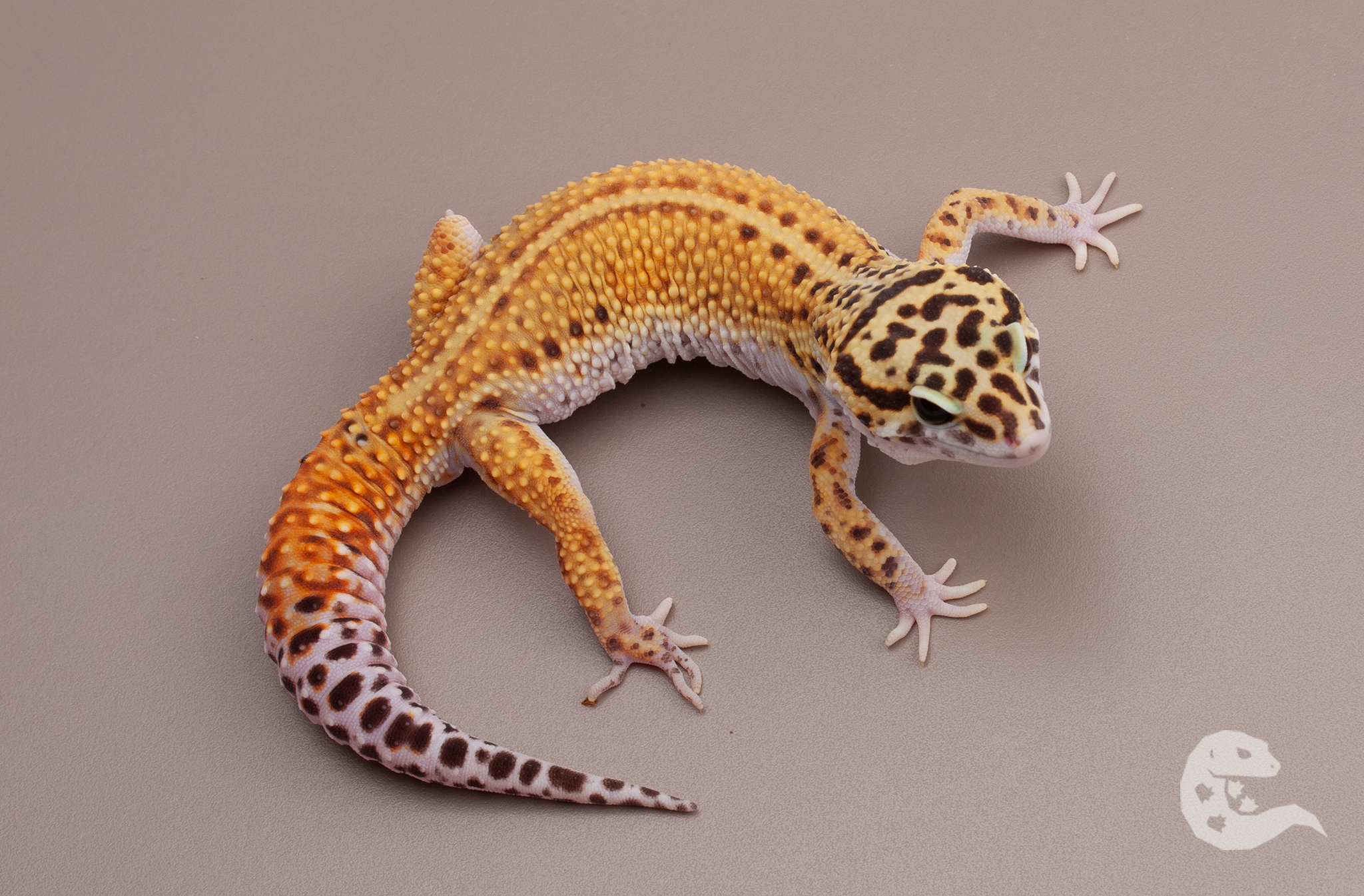 Cipher ph Marble Eye